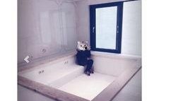 武汉浴缸爆料案件最新,真相浮出水面，疑云逐步揭开